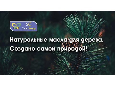 Как Сигма Колор бережно защищает дерево?
